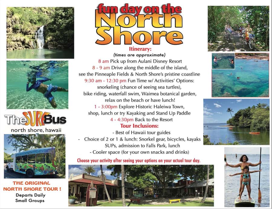 02/03 - 02/09 - Watch Pipeline Surf Challenge ! - Haleiwa: Shops, Art, Food, and Shave Ice