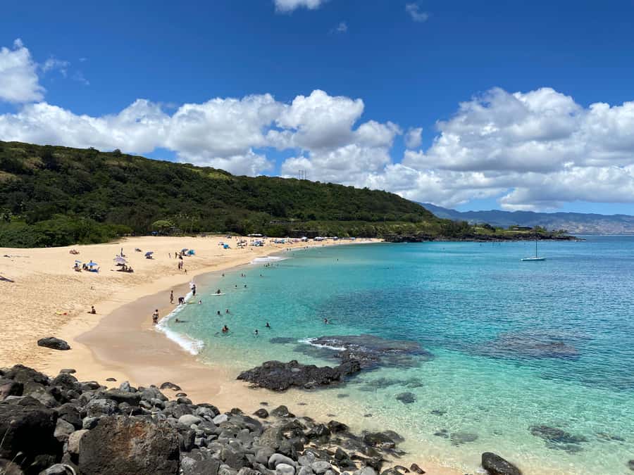 02/03 - 02/09 - Watch Pipeline Surf Challenge ! - East Oahu Views: Macadamia Nuts, Mountains, and the Coast