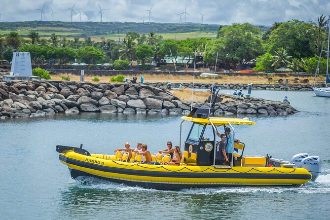 1.5-Hour Guided Whale Watching Tour - Rough water, motion sickness, and comfort