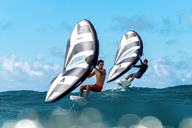 #1 eFoil 1.25 hr or 2 hr wing foil or windsurf or kayak lesson - Choosing Your Water Sport at Kailua Beach