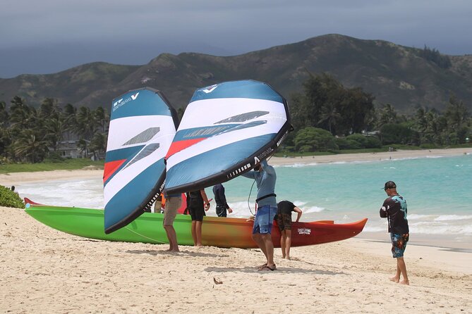 #1 eFoil 1.25 hr or 2 hr wing foil or windsurf or kayak lesson - A Private Lesson for Couples, Families, and Groups