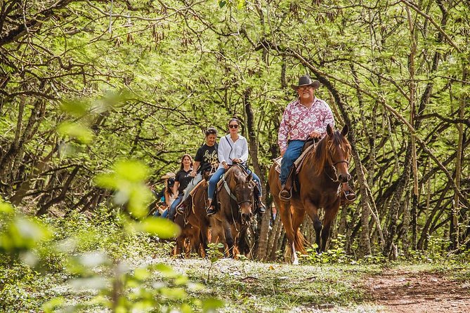 1 Hour Scenic Horseback Ride - Key points before you saddle up