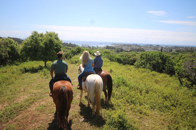 1 Hour Scenic Horseback Ride - One hour through pasture, woods, and ocean views