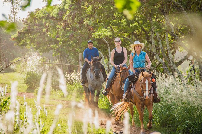 1 Hour Scenic Horseback Ride - The Hawaii 5-0 cave is a passing sight