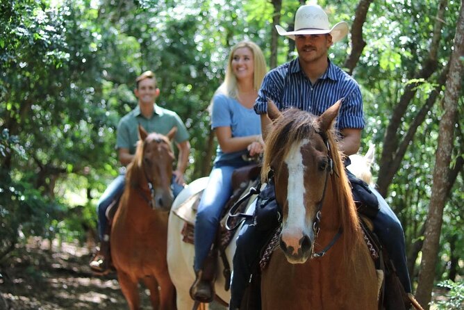 1 Hour Scenic Horseback Ride - Meeting the horses and learning the basics