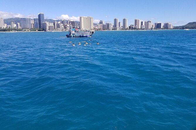 12pm Turtle Canyon Snorkel Adventure - What snorkeling can really be like