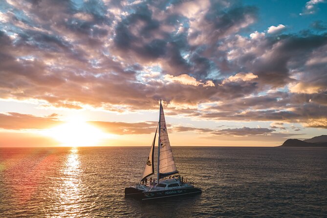 2-Hour Oahu Sunset Catamaran Sail - Sunset light, dolphins, whales, and the honest wildlife picture