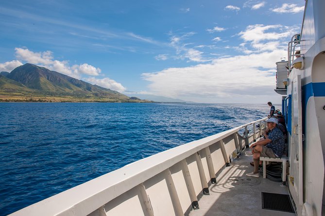 2-Hour Oahu Whale Watch from Ala Wai Harbor, Waikiki - Marine life beyond the humpbacks