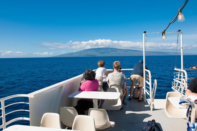 2-Hour Oahu Whale Watch from Ala Wai Harbor, Waikiki - Weather, motion sickness, and what to bring