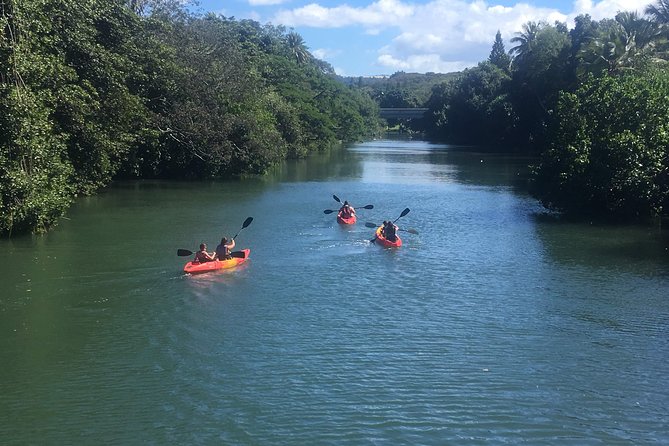 2-hour tandem kayak rental - Haleiwa Bay gives you a wider view