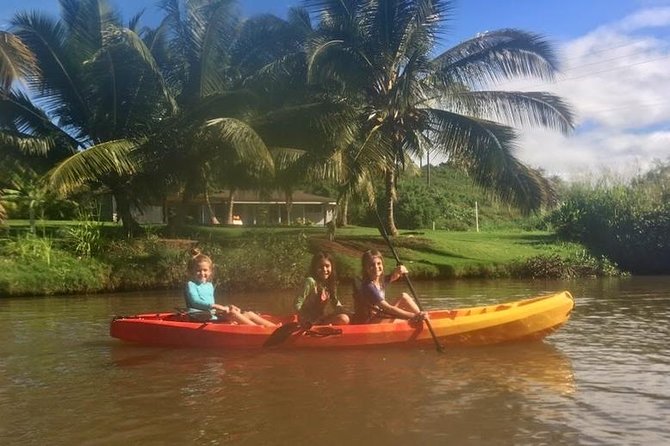 2-hour tandem kayak rental - Turtle etiquette and realistic expectations