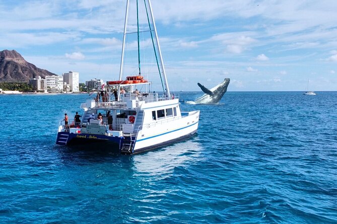 2 Hour Waikiki Whale Watching Cruise from Oahu - Key points to know before you sail