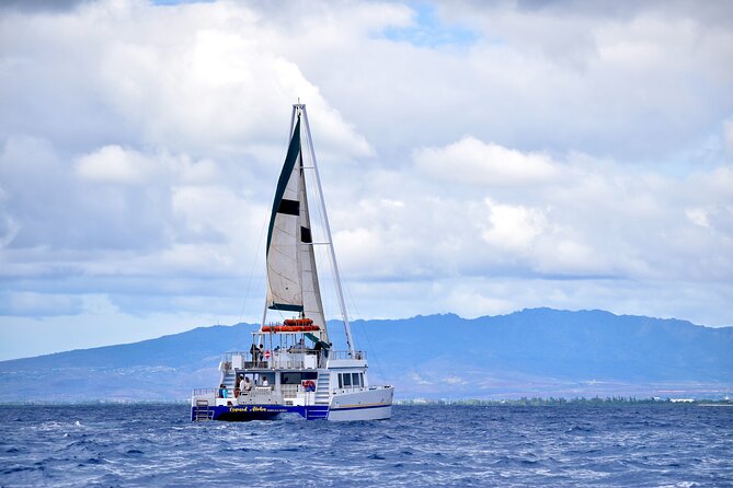 2 Hour Waikiki Whale Watching Cruise from Oahu - Weather, waves, and seasickness
