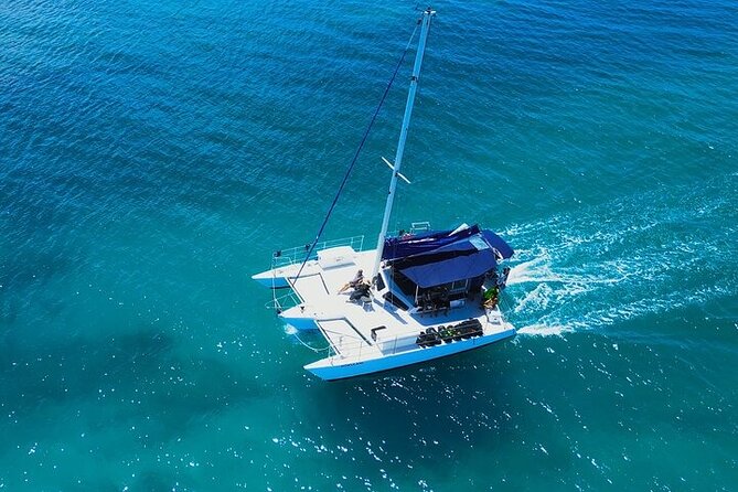 2 Hour Waikiki Whale Watching in Honolulu - Who will enjoy the two-hour cruise