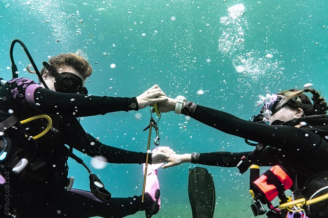2 Tank Private SCUBA Party Diving Charter from Waikiki Hawaii - Patient teaching makes a difference for beginners