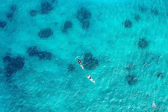 2hr Luxury Private Sailing Catamaran for 7-12 People - Friday Fireworks and Other Ways to Use the Two Hours