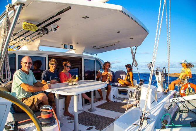 2hr Luxury Private Sailing Catamaran in Waikiki for 1-6 People - Wildlife watching from December through April