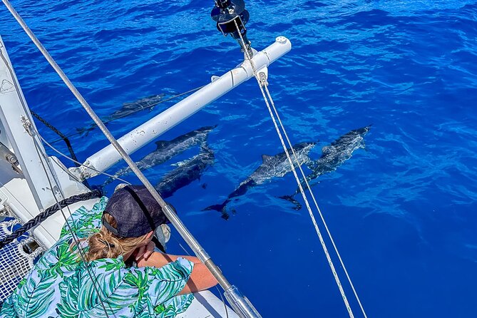 2hr Luxury Private Sailing Catamaran in Waikiki for 1-6 People - What is included aboard the catamaran