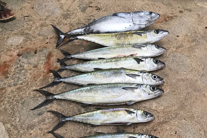 3-Hour Fishing Trip in Waikiki - Key points before you book