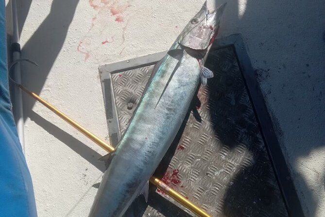 3-Hour Fishing Trip in Waikiki - Is $80 plus fees a fair price?