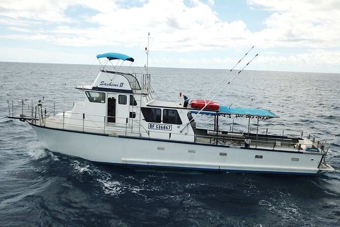 3-Hour Honolulu Bottom Fishing Adventure - From Kewalo Basin to Honolulu’s fishing grounds