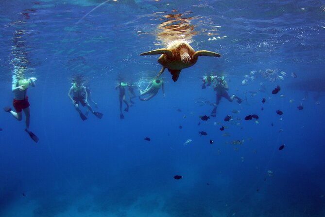 3 Zipline Adventure and 3.5 hour Afternoon Snorkel Cruise - A Hawaiian lunch with real staying power