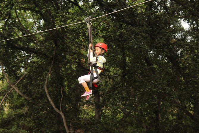 3 Zipline Adventure and 3.5 hour Afternoon Snorkel Cruise - Is $232.89 a fair price?