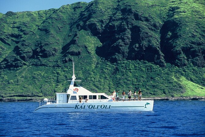3 Zipline Adventure and 3.5 hour Afternoon Snorkel Cruise - Who will enjoy this most?