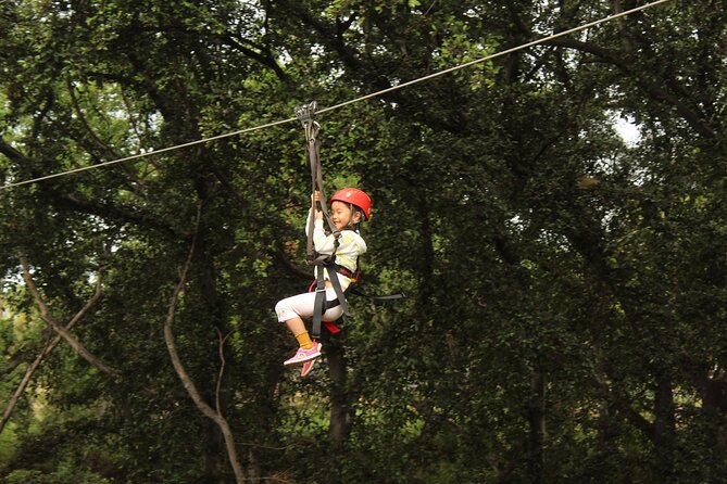 3 Zipline Adventure with Waikiki Transportation - From Waikiki to Coral Crater in about 45 minutes