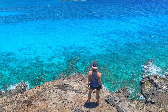 4 Hour Half Day Island Jeep Tour - Lanai Lookout and Halona Blowhole