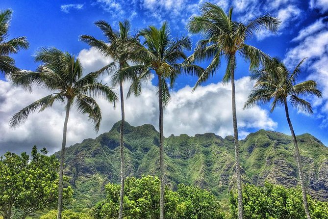 4 Hour Half Day Island Jeep Tour - Sandy Beach Park and the power of the Pacific