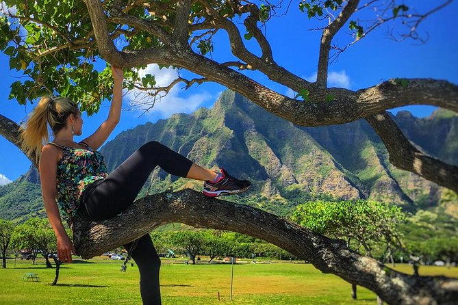 4 Hour Half Day Island Jeep Tour - Makapuʻu Point, Makai Research Pier, and Makapuʻu Beach