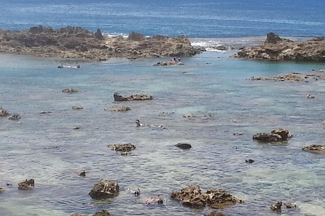 6-Hour Private Customized Luxury Convertible Tour of Oahu's North Shore - Shark’s Cove snorkeling