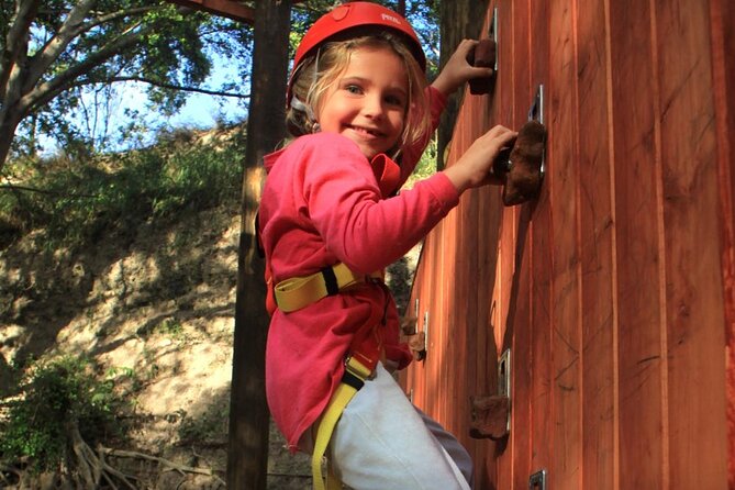 6 Zipline & Adventure Tower EPIC COMBO - The $297 price makes sense only if you want both halves