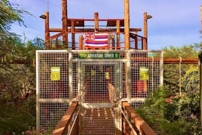 6 Zipline & Adventure Tower EPIC COMBO