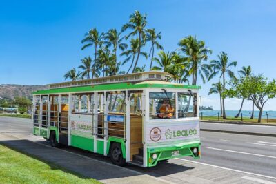 7 Day Pass LeaLea Trolley and Waikiki Trolley Pink Line