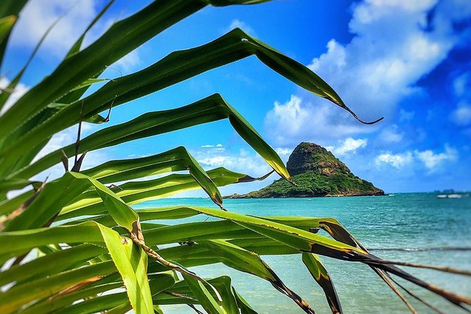 8 Hour Circle Island Jeep Tour - Comfort, fitness, and what to bring