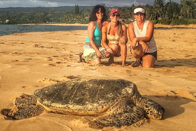 8 Hour Circle Island Jeep Tour - Windward Oahu, farms, and Mokoli‘i Island