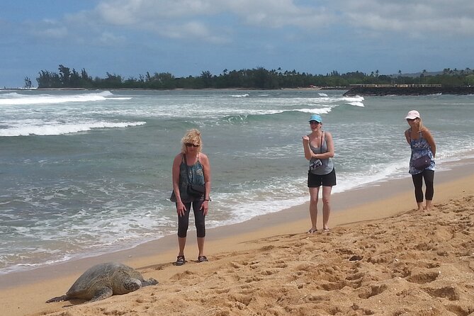 8-Hour Luxury Four Door Convertible Tour of Oahu's South and North Shores - Waimea Bay and the walk to Waimea Falls