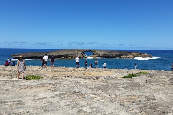 8-Hour Luxury Four Door Convertible Tour of Oahu's South and North Shores - Shark’s Cove and the famous surf beaches