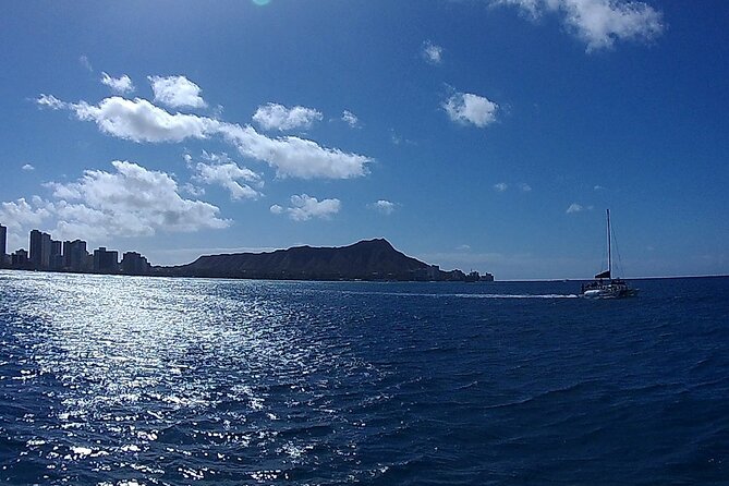 9am Turtle Canyon Snorkel Adventure - Who will enjoy this morning best?