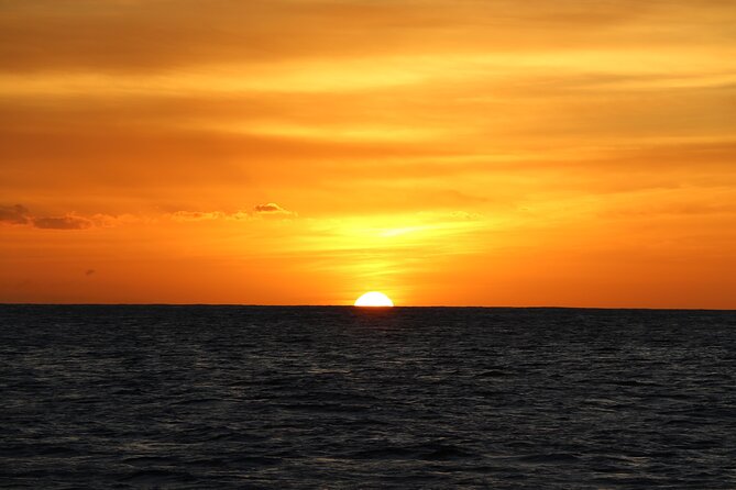 All-Inclusive Sunset Dolphin Watch and Snorkeling Cruise - Who will enjoy this cruise most