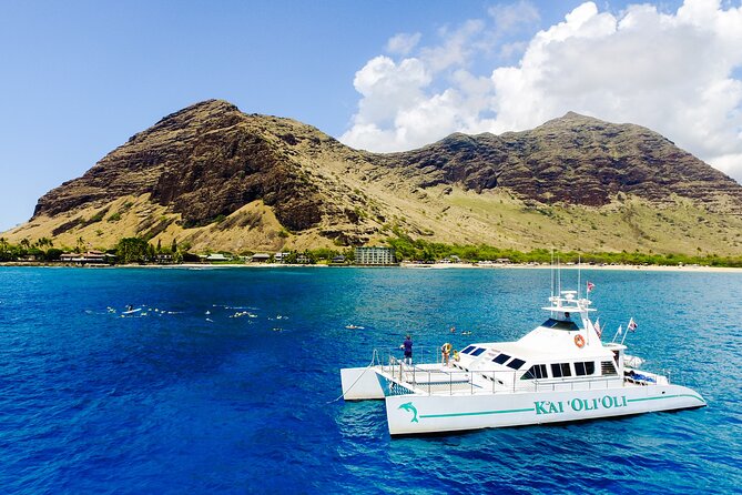 All-Inclusive Sunset Dolphin Watch and Snorkeling Cruise - Practical details that affect your choice