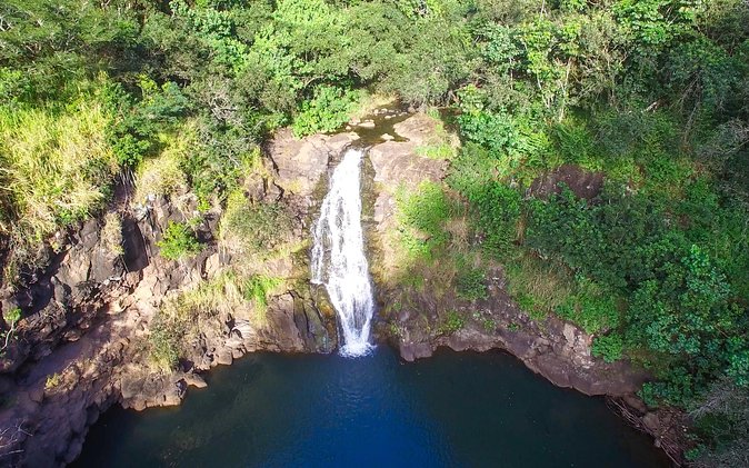 All Inclusive Ultimate Circle Island Tour, Waimea Falls & Lunch - What this Oahu tour does well