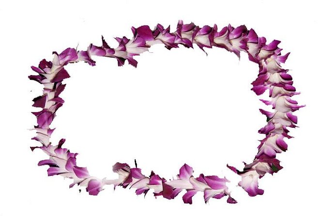 Aloha Lei Greeting on Arrival in Honolulu - Key points to know before you book