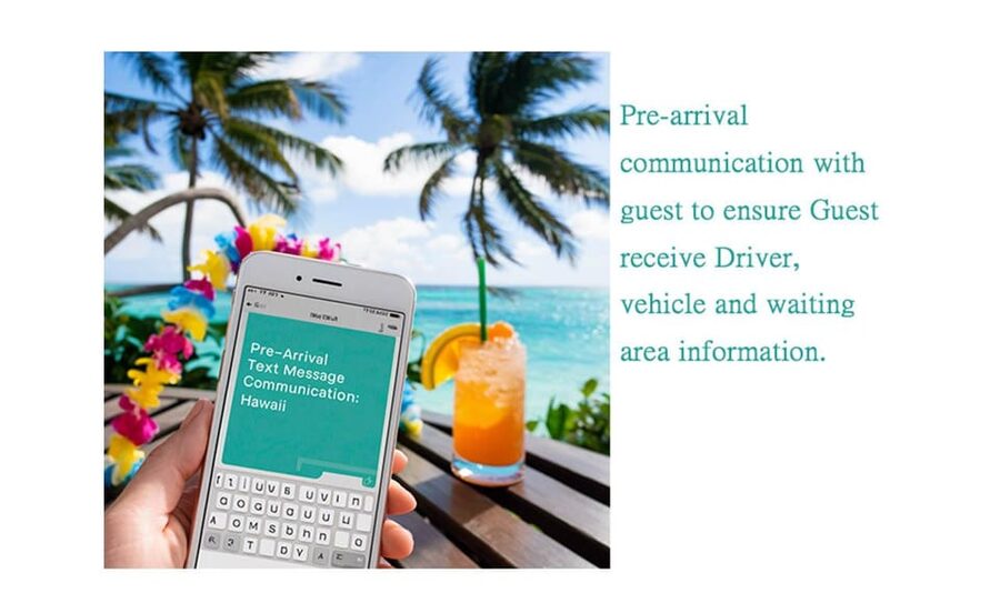 Arrival Lei Greeting --HNL to Waikiki Private Transfer - A friendly driver can shape the first hour