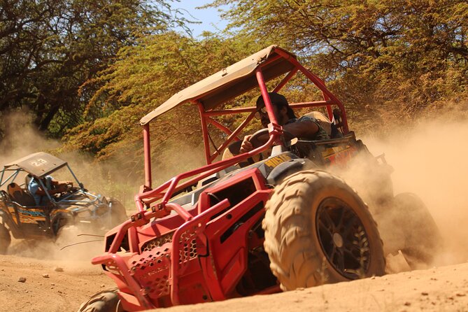 ATV Off Road Adventure - What the Coral Crater ATV ride really is