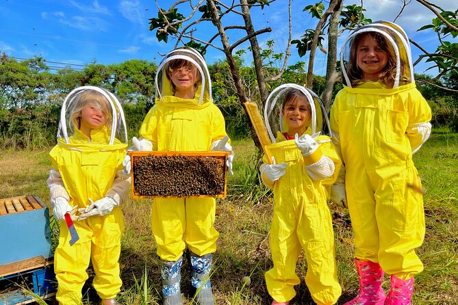 Bee Farm Ecotour and Honey Tasting in Waialua, North Shore Oahu - Holding raw honeycomb with bees on it