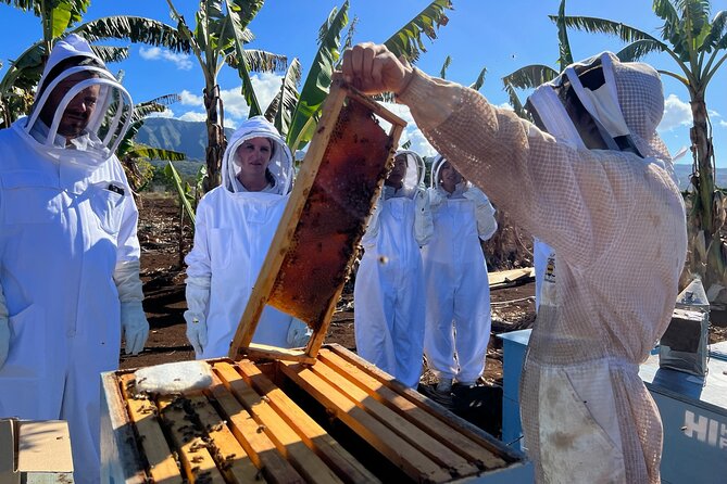 Bee Farm Ecotour and Honey Tasting in Waialua, North Shore Oahu - Is $135 a fair price?