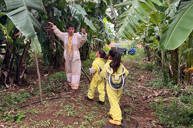 Bee Farm Ecotour and Honey Tasting in Waialua, North Shore Oahu - Walking through the banana trees to the hives